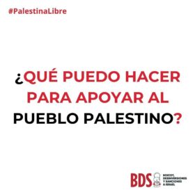 Qué puedo hacer yo para ayudar al pueblo palestino