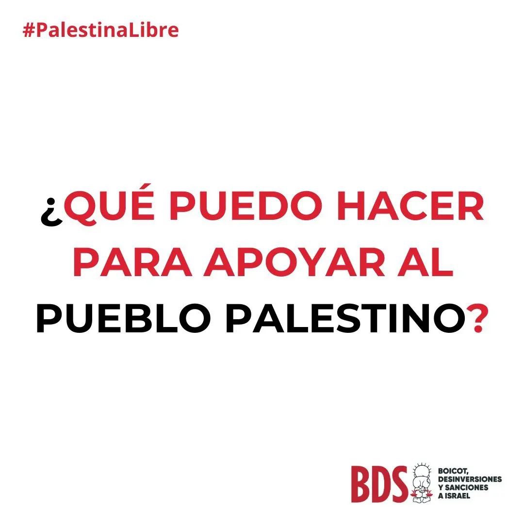 Qué puedo hacer yo para ayudar al pueblo palestino